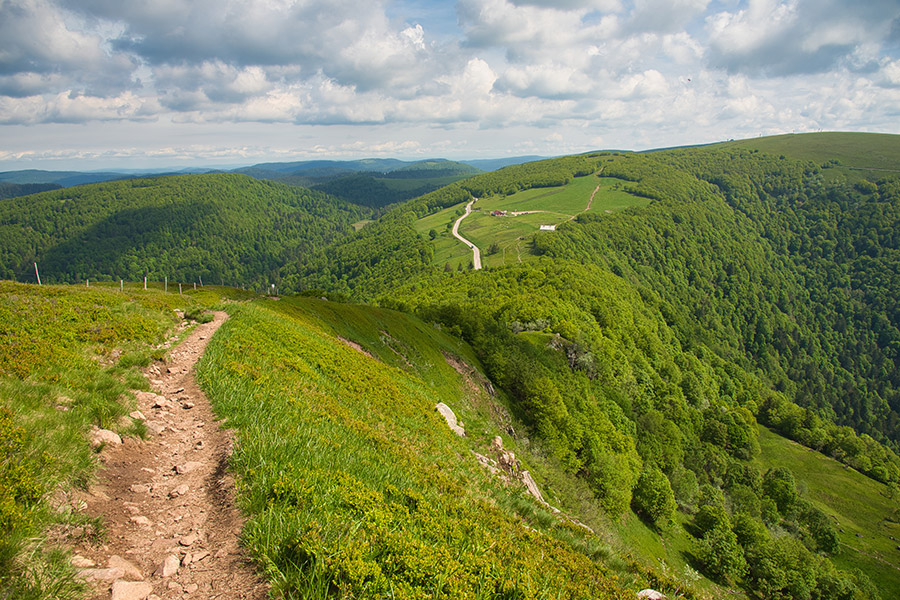 Route des Crêtes Vosges