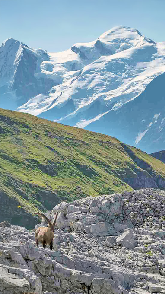 desert de platé - flaine
