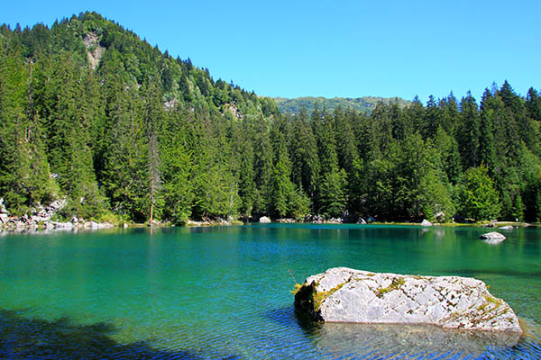 lac vert passy - savoie