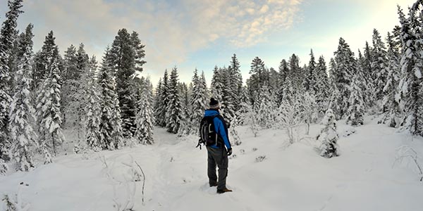 Randonnée nordique et alpinisme