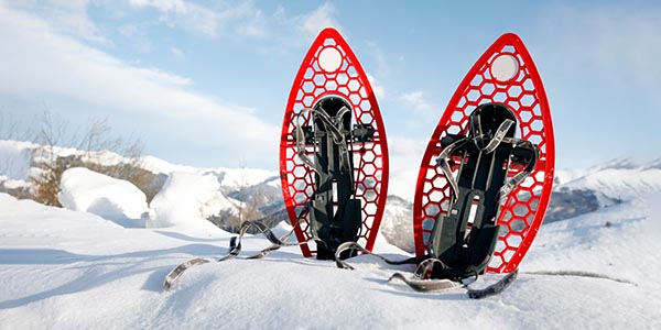 Raquettes à neige