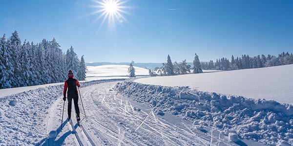 Ski de fond